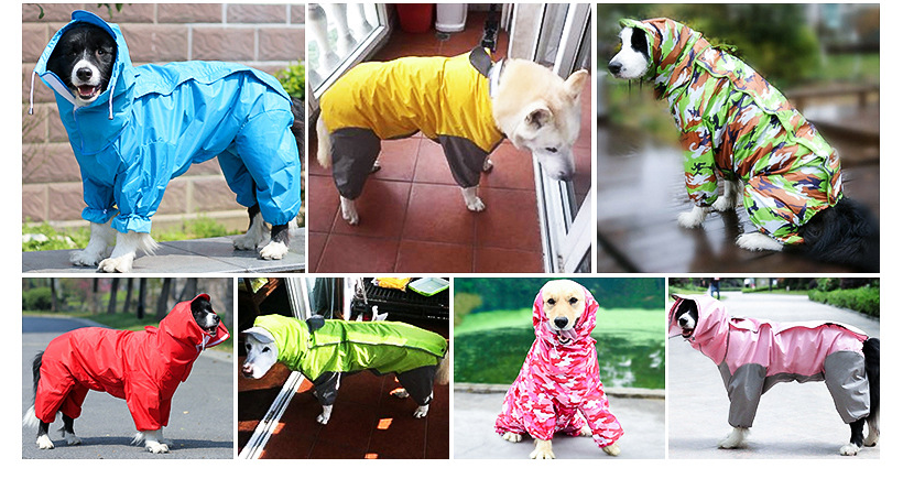 Dog raincoat